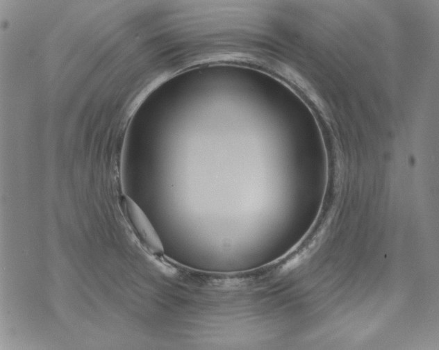 X0000074281377200609151841