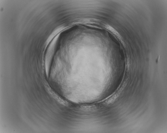 X0000074281378200609151841