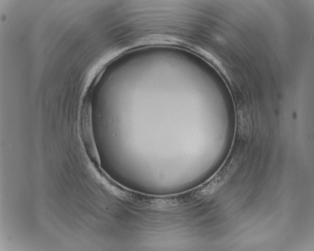 X0000074281379200609151841