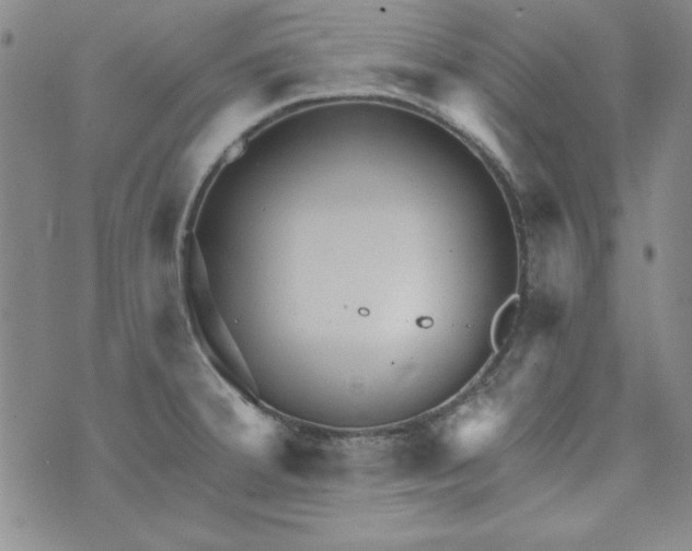 X0000074281380200609151841