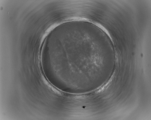 X0000074281381200609151841