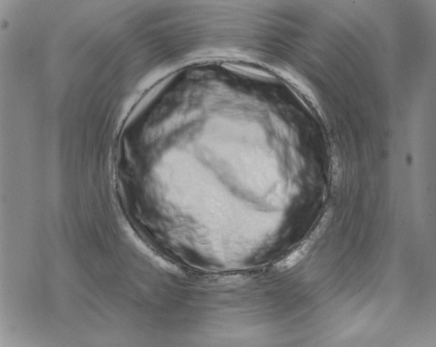 X0000074281382200609151841