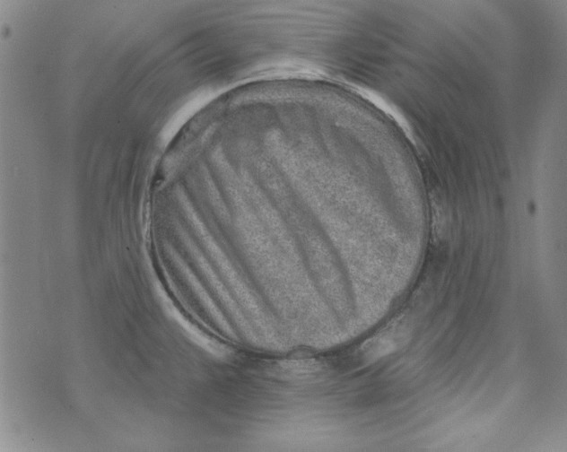 X0000074281383200609151841