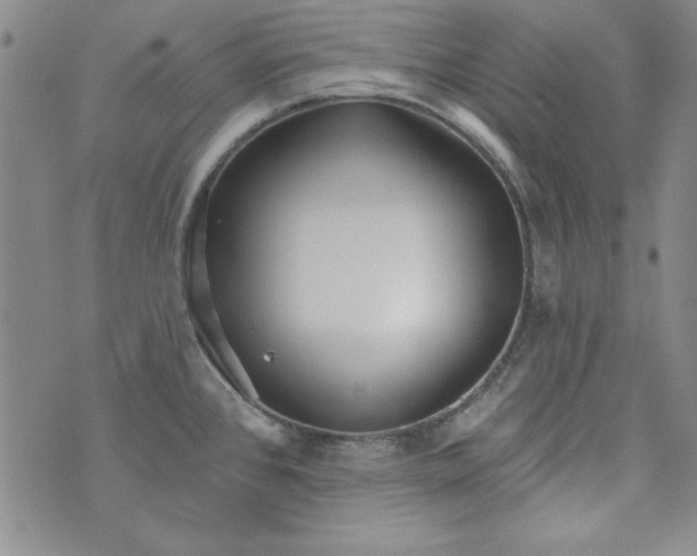 X0000074281384200609151841