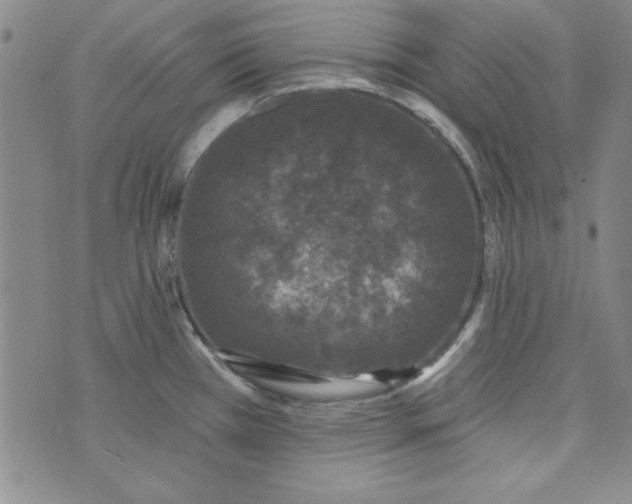 X0000074281385200609151841