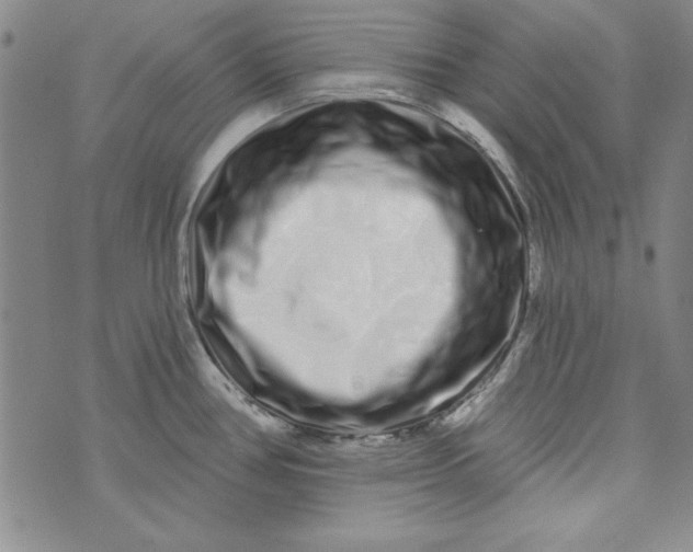 X0000074281386200609151841