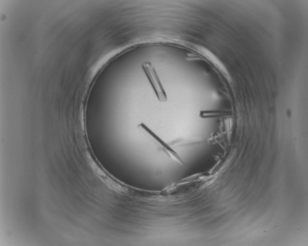 X0000074281388200609151841