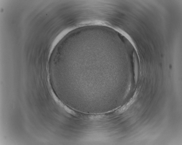 X0000074281389200609151841