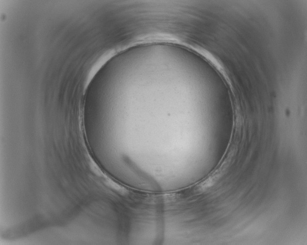 X0000074281390200609151841