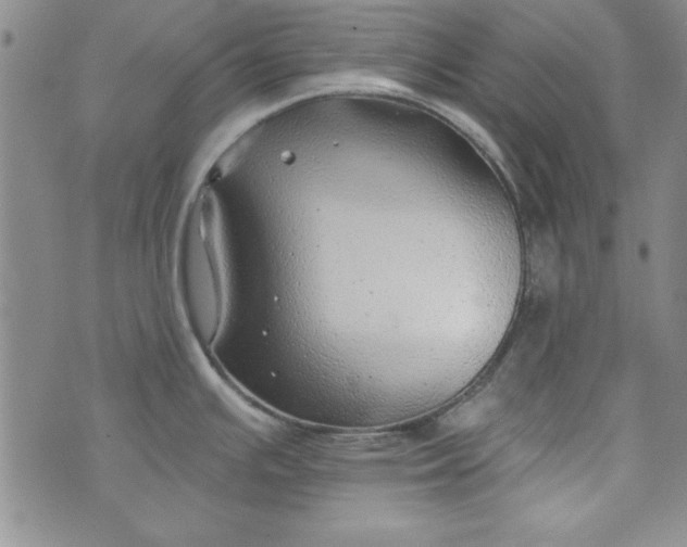 X0000074281391200609151841