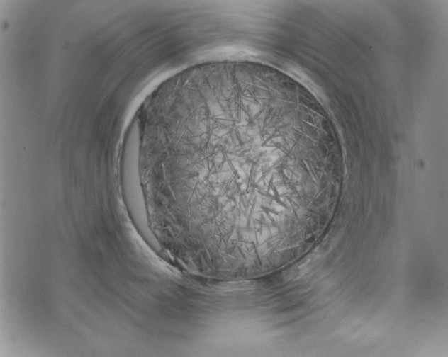 X0000074281392200609151841