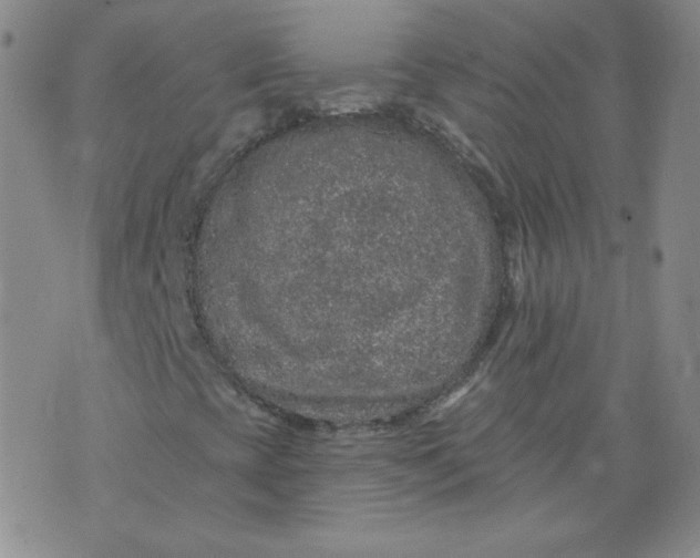 X0000074281393200609151840