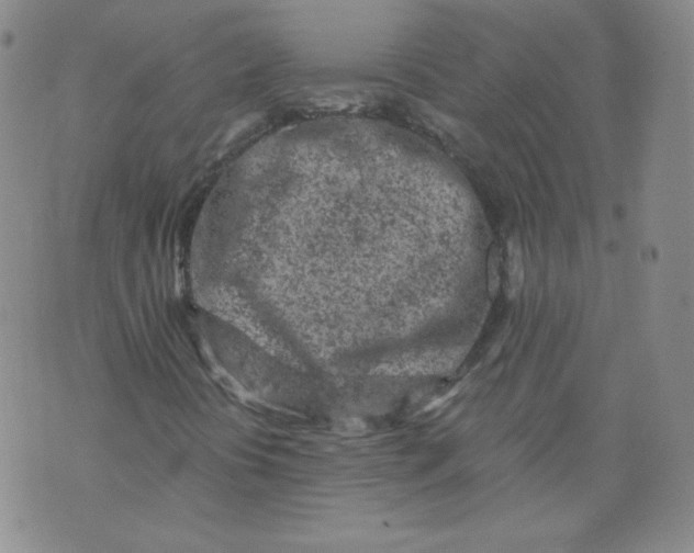 X0000074281394200609151840