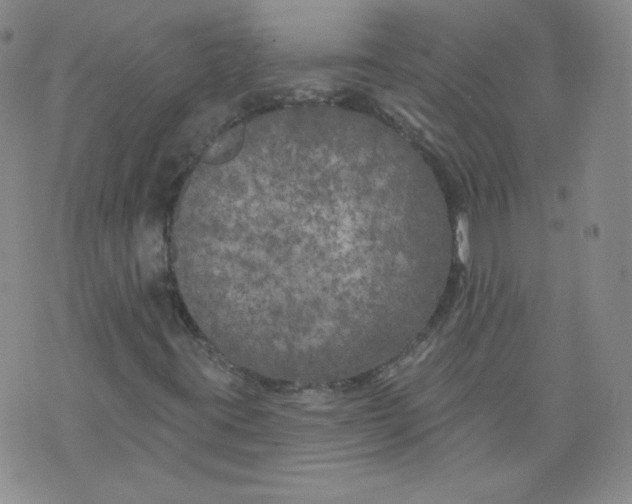 X0000074281395200609151840