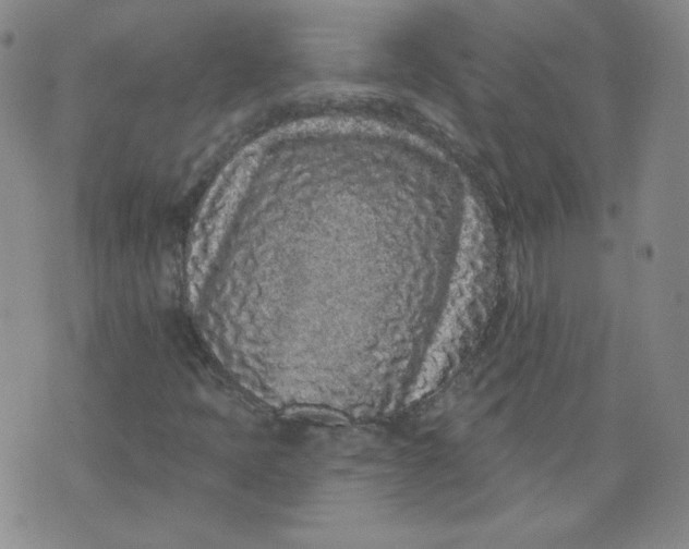 X0000074281397200609151840