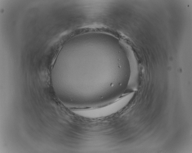 X0000074281398200609151840