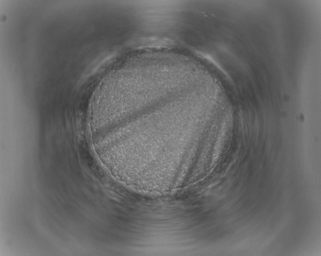 X0000074281399200609151840