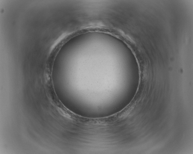 X0000074281400200609151840