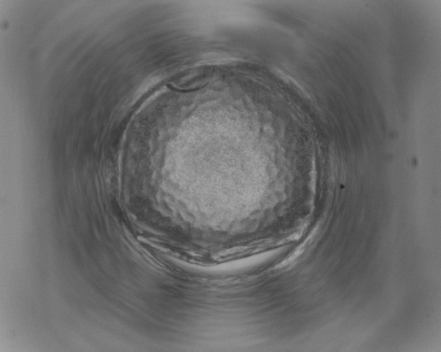 X0000074281401200609151840