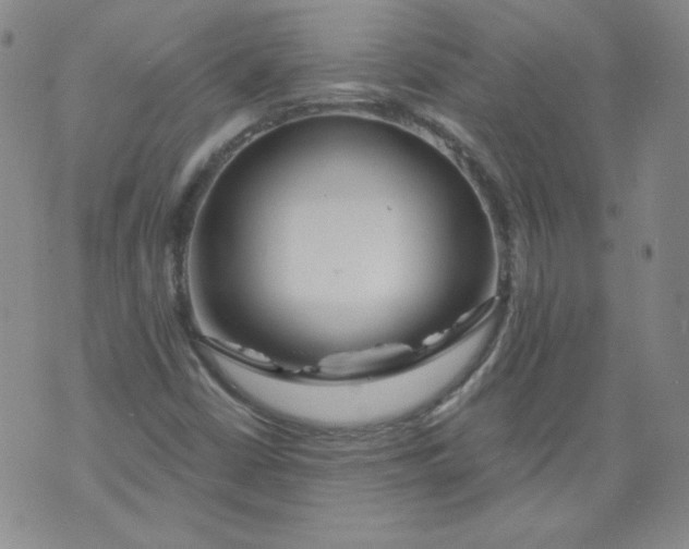 X0000074281402200609151840