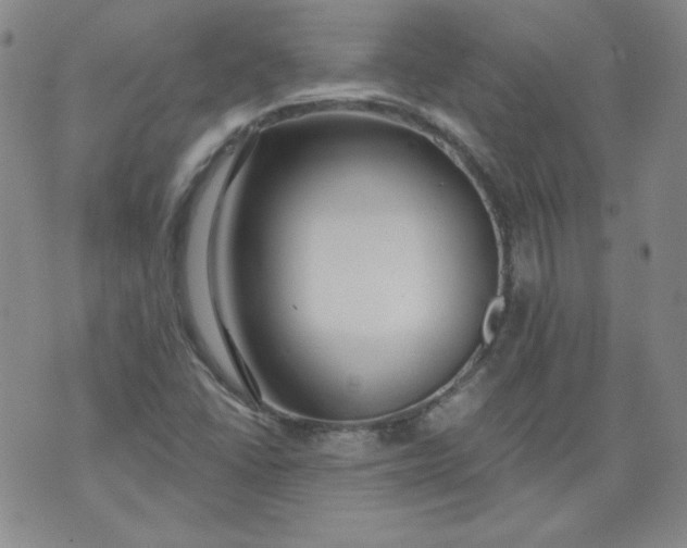 X0000074281406200609151840