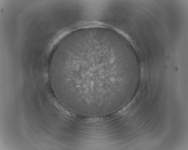 X0000074281407200609151840