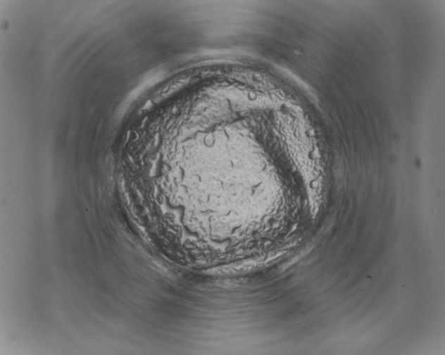 X0000074281411200609151840