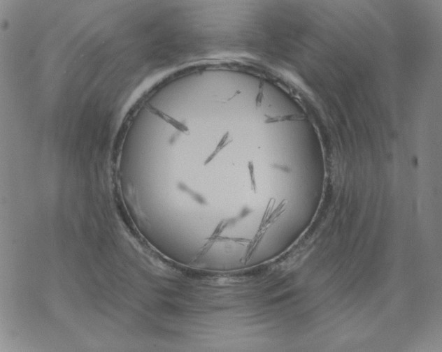 X0000074281412200609151840