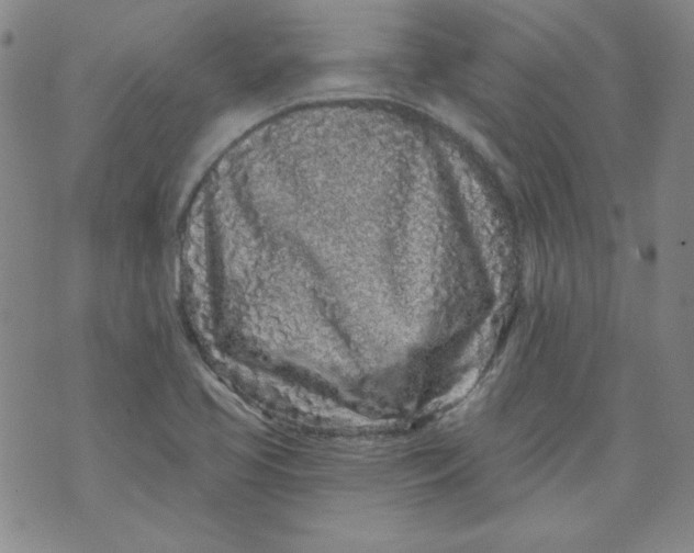 X0000074281413200609151840