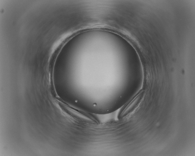 X0000074281414200609151840