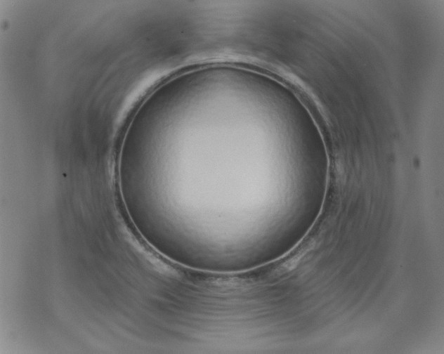 X0000074281416200609151840