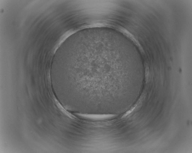 X0000074281417200609151840