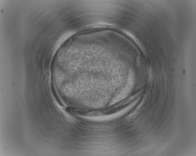 X0000074281418200609151840