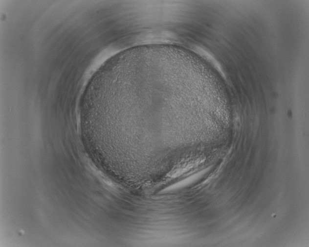 X0000074281419200609151840