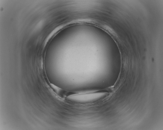 X0000074281420200609151840