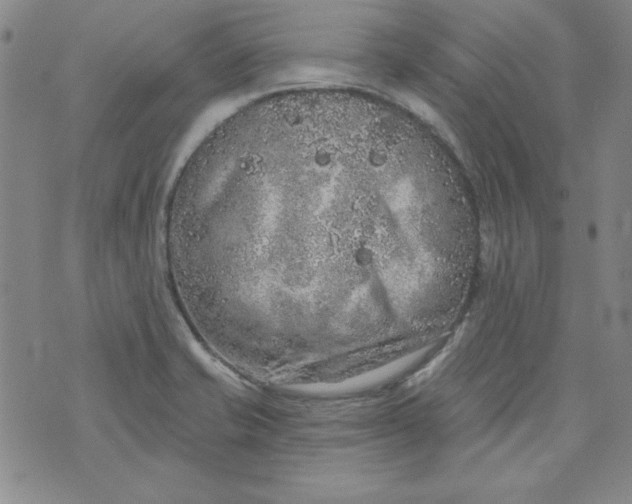 X0000074281421200609151840