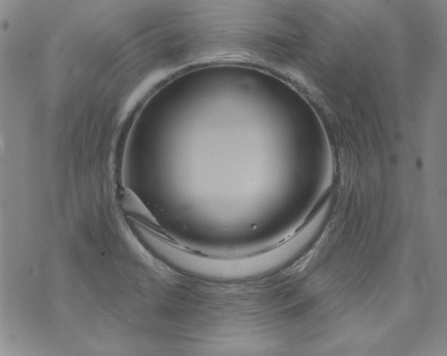 X0000074281422200609151840