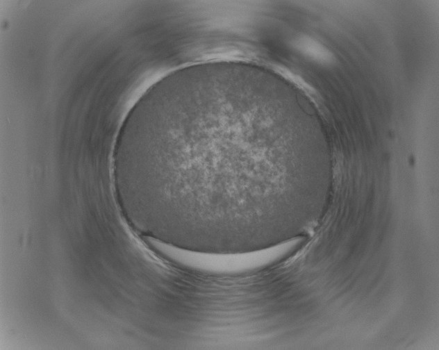 X0000074281423200609151840