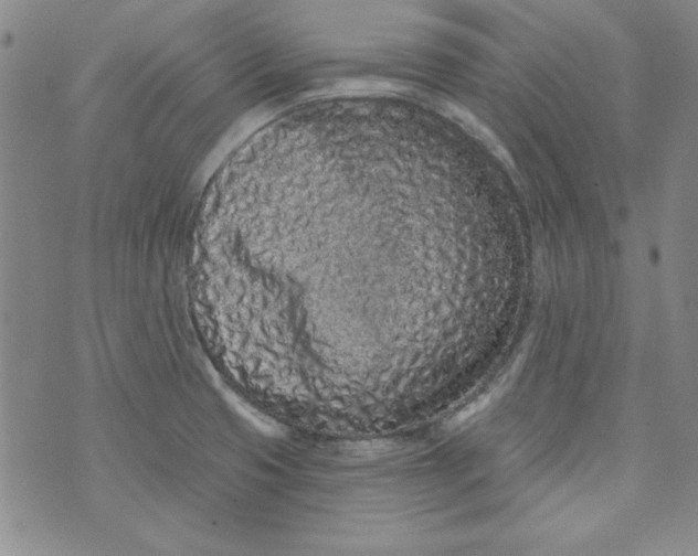 X0000074281425200609151840