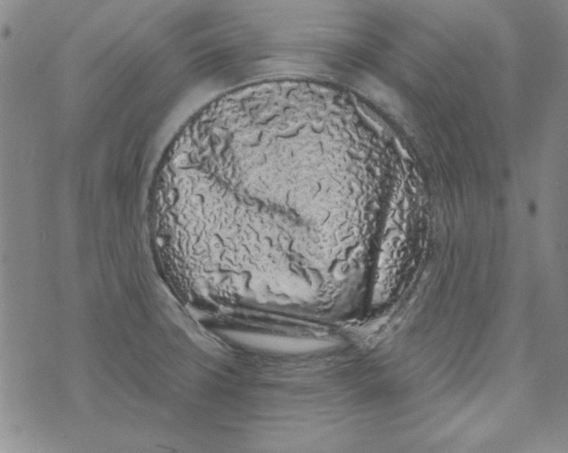 X0000074281427200609151840