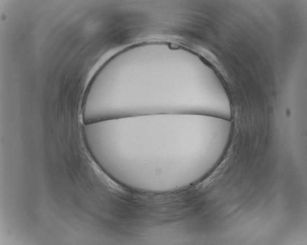 X0000074281428200609151841