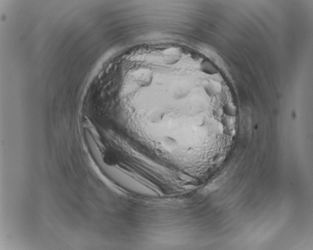 X0000074281429200609151841