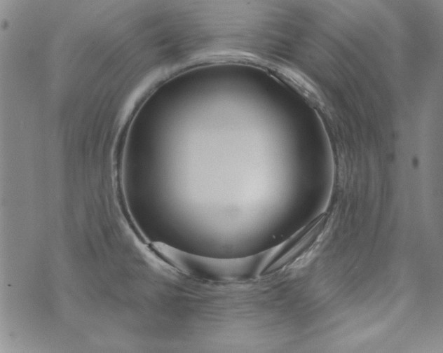 X0000074281430200609151841