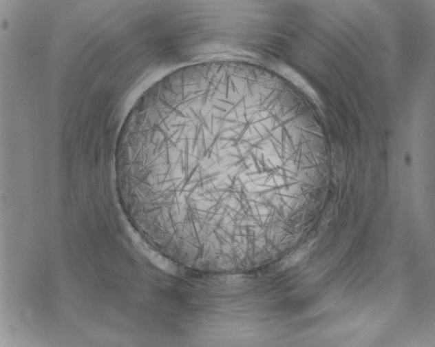 X0000074281431200609151841