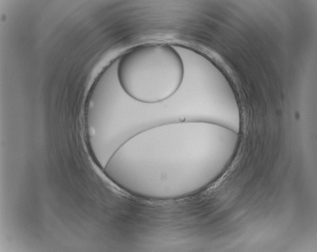 X0000074281432200609151841