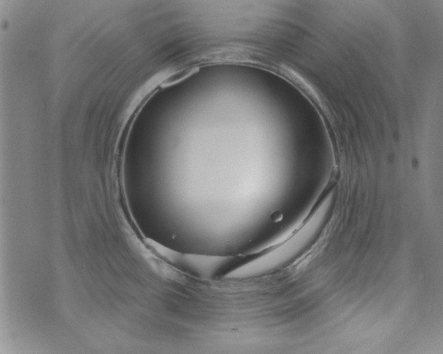 X0000074281434200609151841