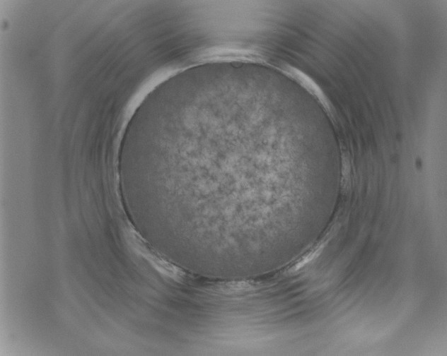 X0000074281435200609151841