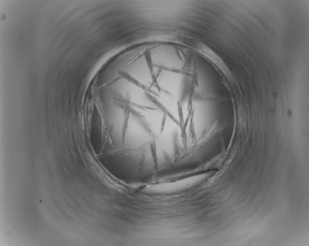 X0000074281436200609151841