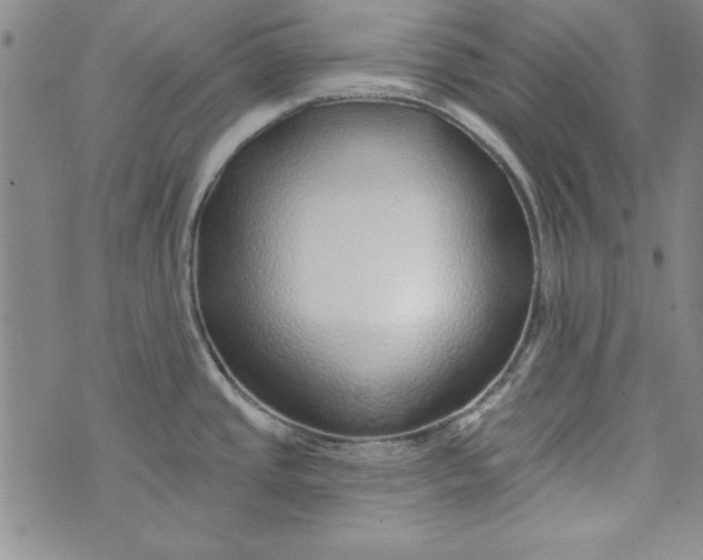 X0000074281437200609151841