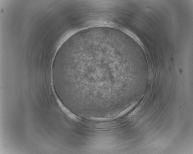 X0000074281439200609151841